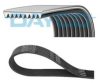 DAYCO 9PK1880HD V-Ribbed Belts